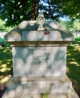 Rosehill grave marker: David (1822-1869) and Lavina (1834-1857) Swenk