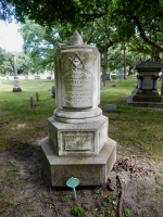 Rosehill tombstone: Cyrus P. Bradley (1819-1865)
