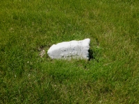 Rosehill gravestone: Totie Wilder