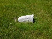 Rosehill gravestone: Totie Wilder Rosehill gravestone: Totie Wilder