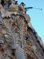Front facade flora and fauna, Antoni Gaudí's Sagrada Família, Barcelona