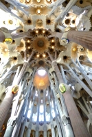 Ceiling, Antoni Gaudí's Sagrada Família, Barcelona