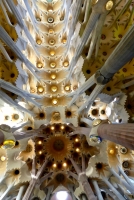 Ceiling, Antoni Gaudí's Sagrada Família, Barcelona
