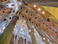 Ceiling and columns, Antoni Gaudí's Sagrada Família, Barcelona