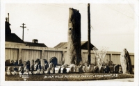 Black Hills Petrified Forest, Edgemont, South Dakota postcard