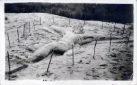 Crucifixion sand sculpture postcard