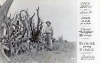 Raymond W. Overholzer at his Shrine of the Pines, Baldwin, Michigan, postcard Raymond W. Overholzer at his Shrine of the Pines, Baldwin, Michigan, postcard