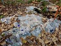 Glass and ceramics embedded in sidewalk, Howard Finster's Paradise Garden, 2016