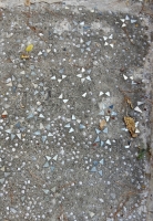 Bits of things embedded in sidewalk, Howard Finster's Paradise Garden, 2016