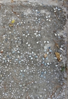Bits of things embedded in sidewalk, Howard Finster's Paradise Garden, 2016 Bits of things embedded in sidewalk, Howard Finster's Paradise Garden, 2016