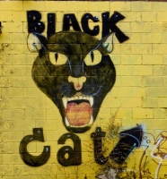 Black Cat, Fireworks store painted wall