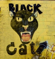 Black Cat, Fireworks store painted wall Black Cat, Fireworks store painted wall