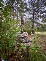 Q.J. Stephenson's Earth Museum/Occoneechee Trapper’s Lodge, Garysburg, NC