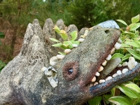 Q.J. Stephenson's Earth Museum/Occoneechee Trapper’s Lodge, Garysburg, NC