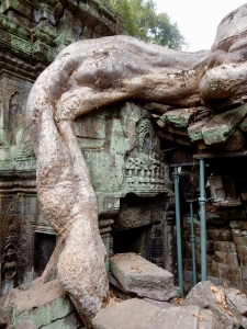 Ta Prohm, 12th-13th century, Siem Reap