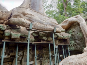 Ta Prohm, 12th-13th century, Siem Reap