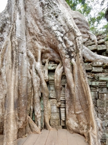 Ta Prohm, 12th-13th century, Siem Reap