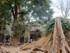 Ta Prohm, 12th-13th century, Siem Reap