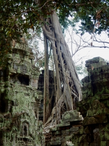 Ta Prohm, 12th-13th century, Siem Reap