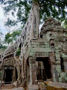 Ta Prohm, 12th-13th century, Siem Reap