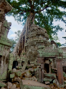 Ta Prohm, 12th-13th century, Siem Reap