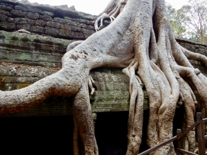 Ta Prohm, 12th-13th century, Siem Reap