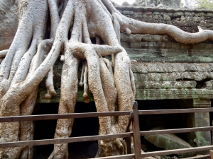 Ta Prohm, 12th-13th century, Siem Reap