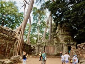 Ta-Prohm-44