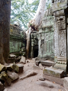 Ta Prohm, 12th-13th century, Siem Reap