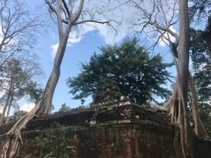 Ta Prohm, 12th-13th century, Siem Reap