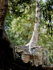 Ta Prohm, 12th-13th century, Siem Reap