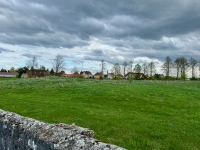 Remains of the Jewish Cemetary in Tiktin. Yankel and my other ancestors are undoubtedly buried here