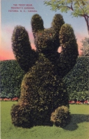 Pendray's Teddy Bear postcard, Victoria, B.C.