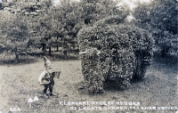 Elephant topiary postcard, Fox River Grove, Illinois