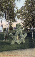 Masonic topiary postcard