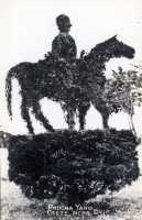 Topiary in Prucha Yard, Crete, Nebraska postcard