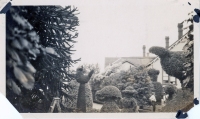 Topiary garden Victoria, B.C. snapshot