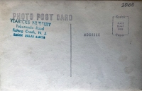 Ship topiary at Yearick's Nursery postcard, Fishing Creek, New Jersey-Verso