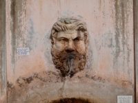 Vatican Museum (Emma photo)