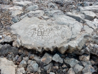 Words at the Waikoloa petroglyphs