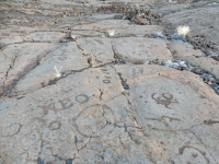 Words and symbols at the Waikoloa petroglyphs