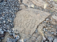 Words at the Waikoloa petroglyphs