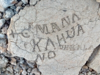 Words at the Waikoloa petroglyphs