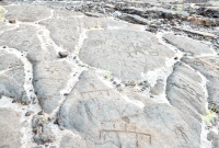 Circles and figures from the Waikoloa petroglyphs in Hawaii