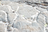 Circles and figures from the Waikoloa petroglyphs in Hawaii Circles and figures from the Waikoloa petroglyphs in Hawaii