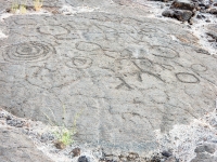 Parent and child figures(?) and circles from the Waikoloa petroglyphs in Hawaii Parent and child figures(?) and circles from the Waikoloa petroglyphs in Hawaii