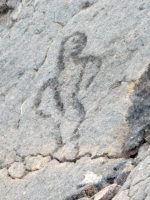 A slightly more naturalist figure from the Waikoloa petroglyphs in Hawaii A slightly more naturalist figure from the Waikoloa petroglyphs in Hawaii