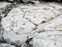 Figures and circles from the Waikoloa petroglyphs in Hawaii