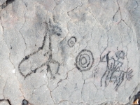 Post-contact carving showing two horses, one with rider, from the Waikoloa petroglyphs in Hawaii Post-contact carving showing two horses, one with rider, from the Waikoloa petroglyphs in Hawaii