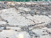 Figures and patterns from the Waikoloa petroglyphs in Hawaii